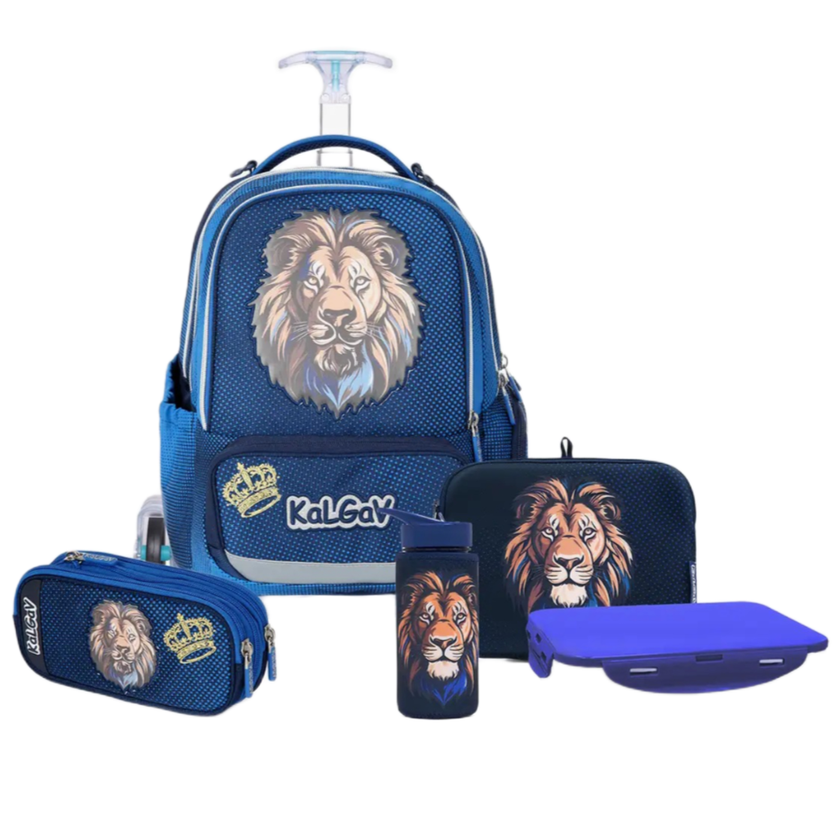 מארז משולם Set X-fix Lion