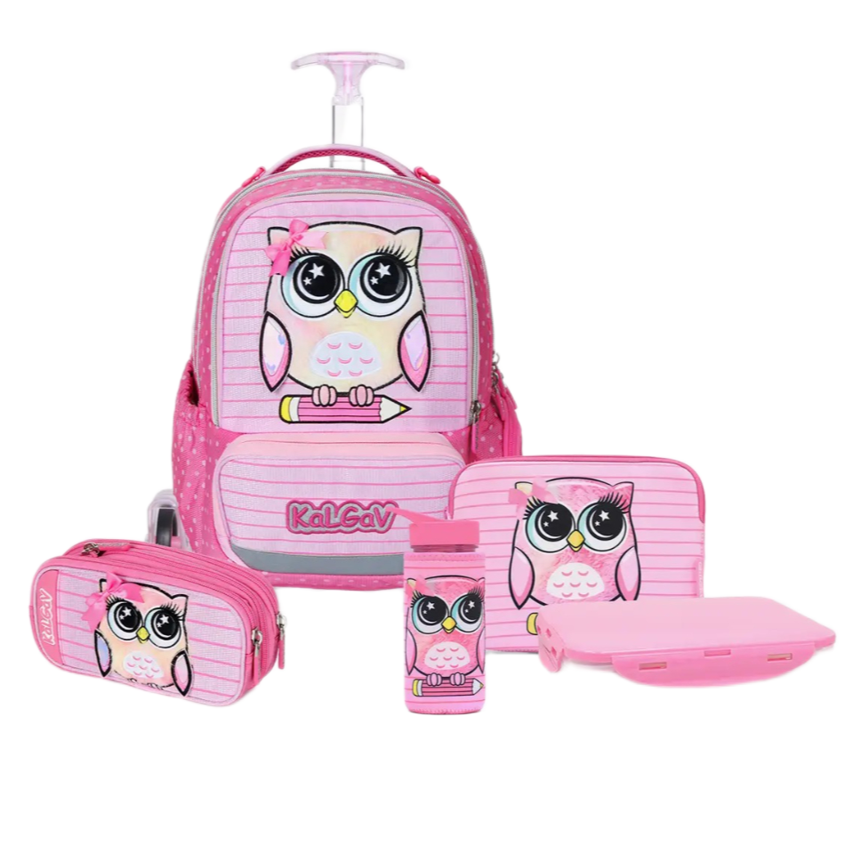 מארז משולם Set X-fix Owl