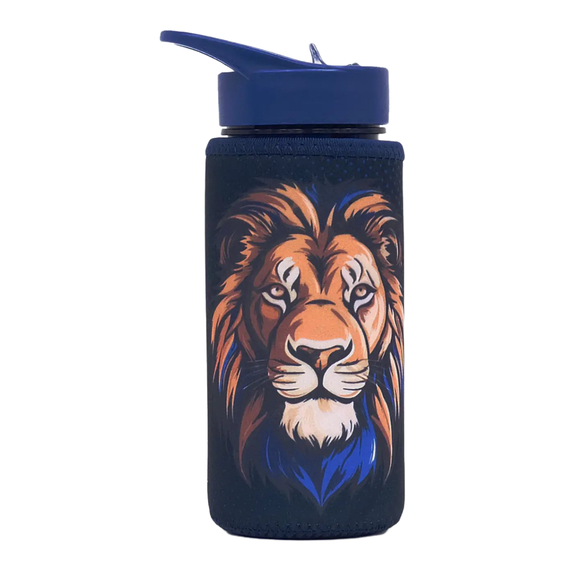 מארז משולם Set X-fix Lion