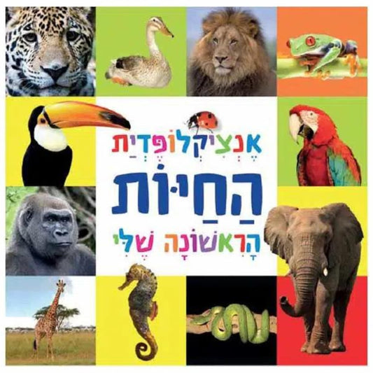 אנצ-החיות-הראשונה-שלי