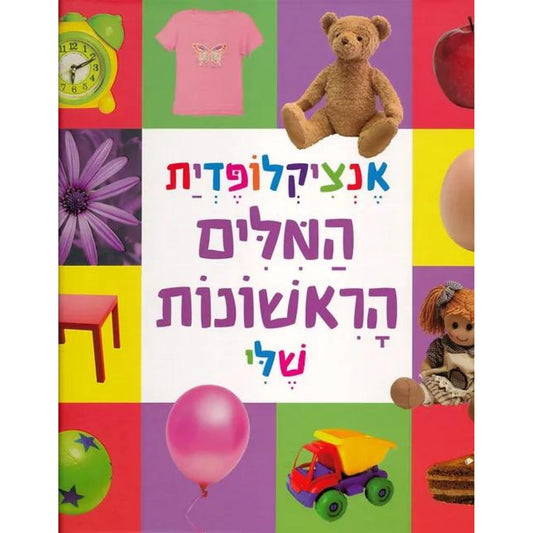 אנצ-המילים-הראשונות-שלי