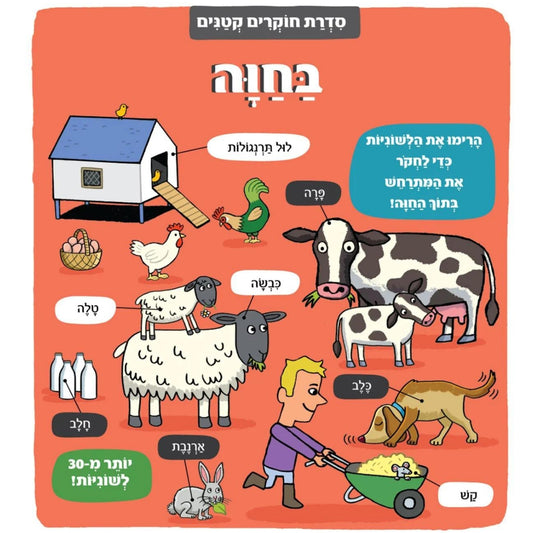 חוקרים-קטנים-בחוה