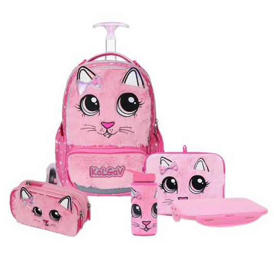 מארז משולם Set X-fix Cat