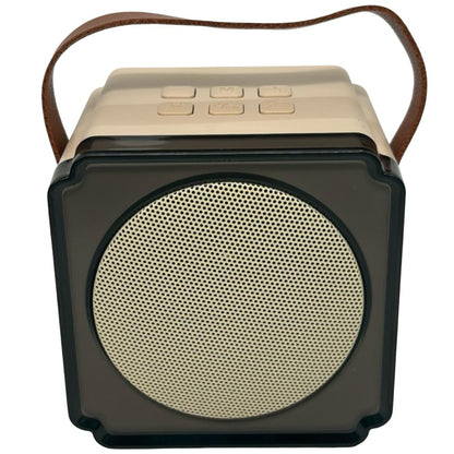 סט קריוקי רמקול ו-2 מיקרופונים אלחוטיים Loopy מעורב צבעים