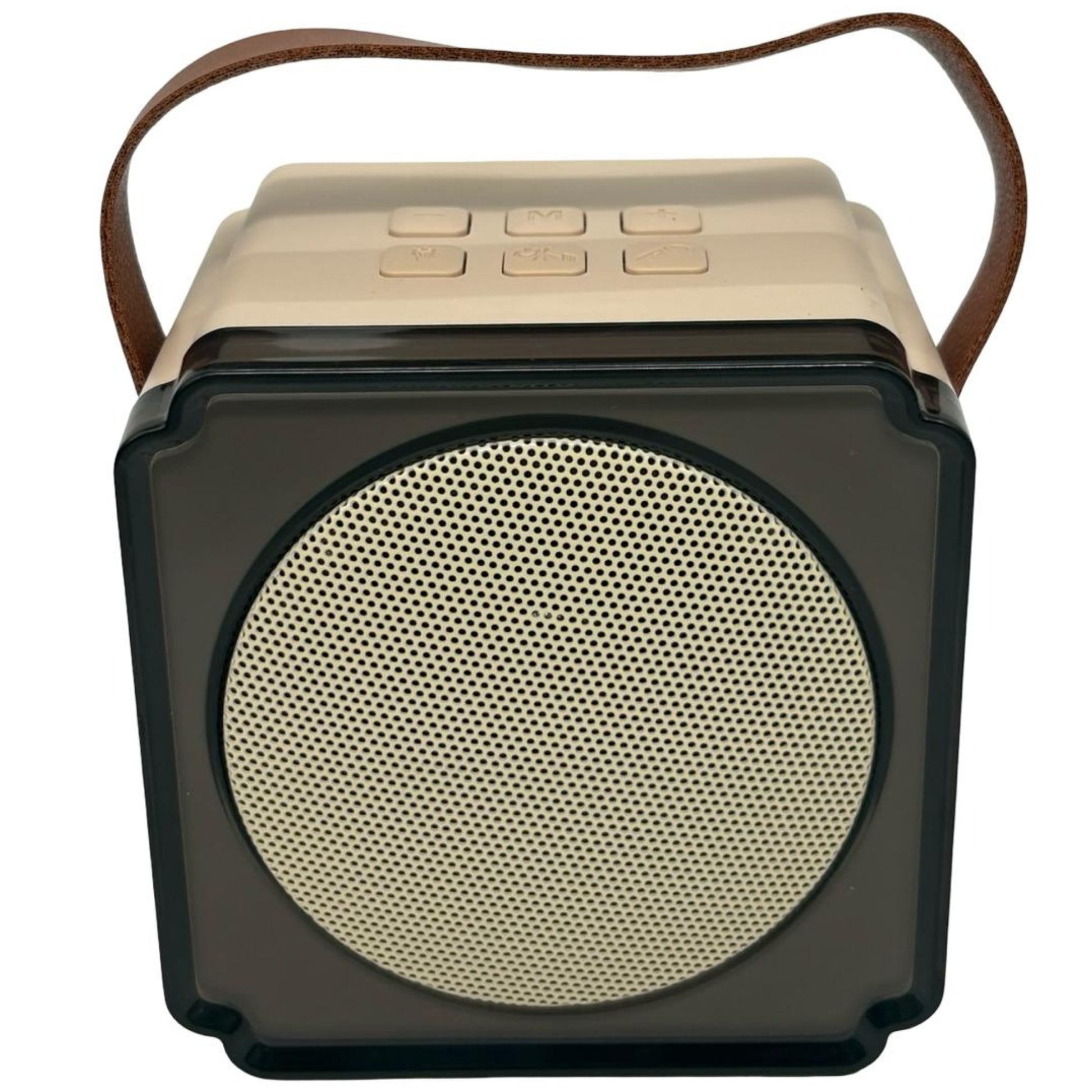 סט קריוקי רמקול ו-2 מיקרופונים אלחוטיים Loopy מעורב צבעים