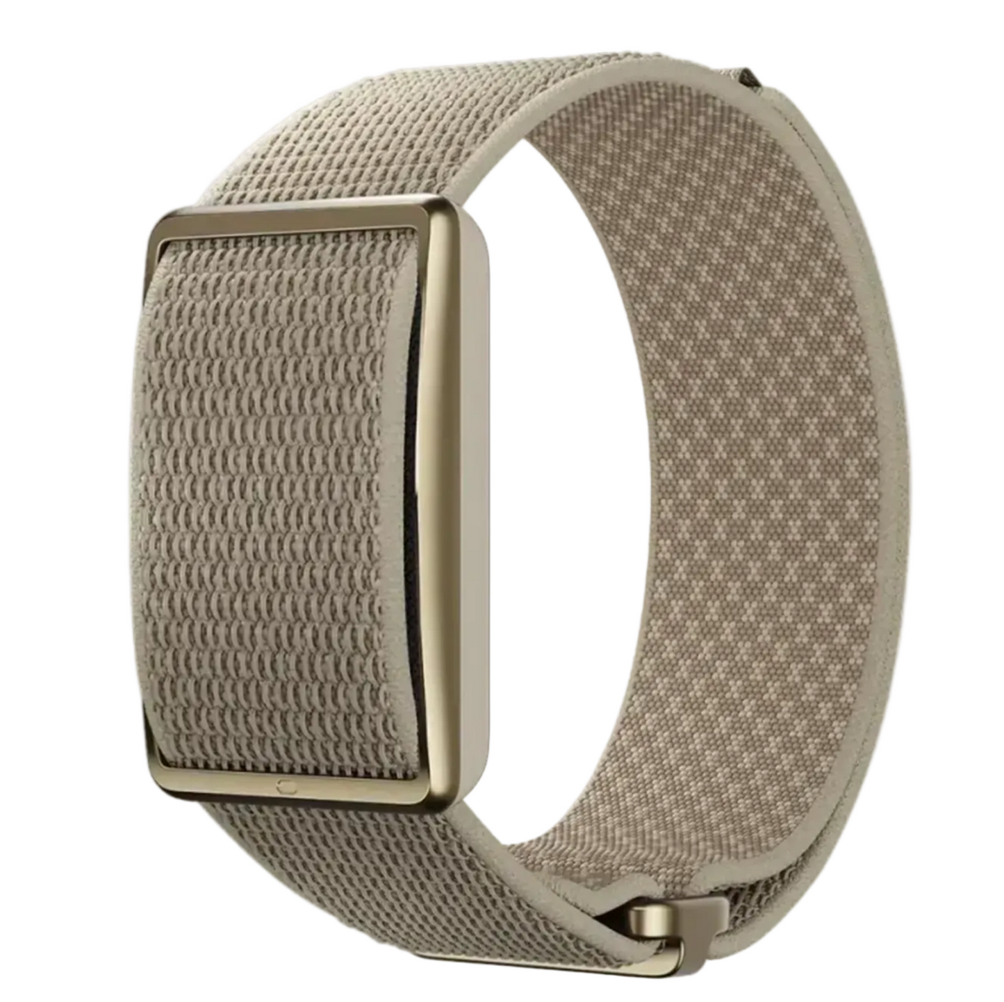 רצועת כושר חכמה ללא מסך Polar Loop S-L