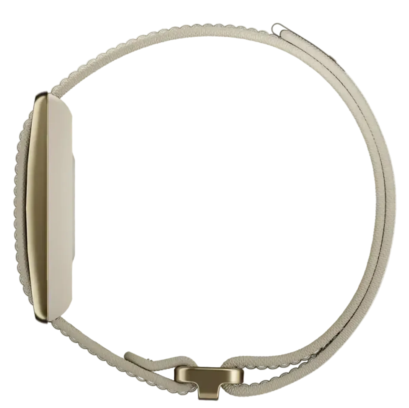 רצועת כושר חכמה POLAR LOOP S-L