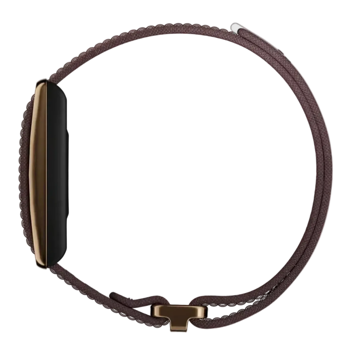 רצועת כושר חכמה ללא מסך Polar Loop S-L