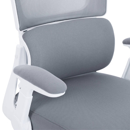 כיסא משרדי ארגונומי  Dragon Smart Tech R40
