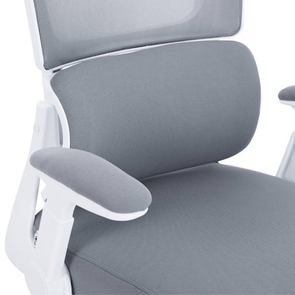 כיסא משרדי ארגונומי  Dragon Smart Tech R40