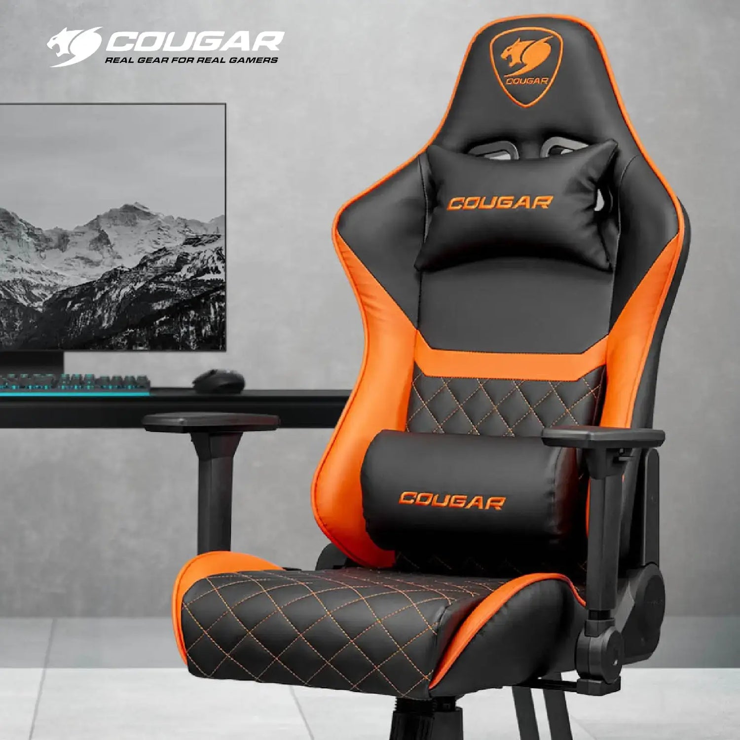 מגוון כסאות cougar