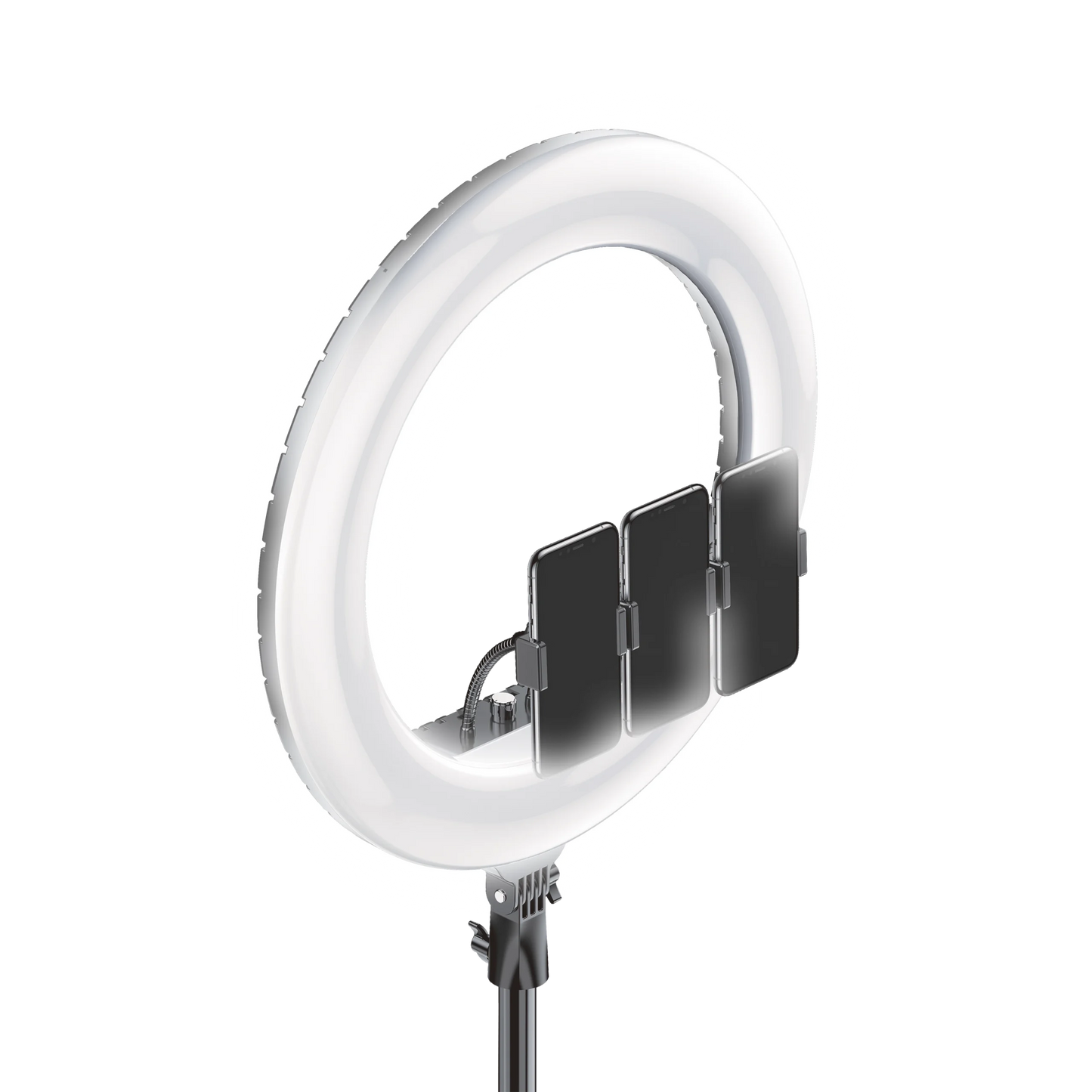 רינגלייט מקצועי 21 אינץ' MIRACASE MSSL21 55W