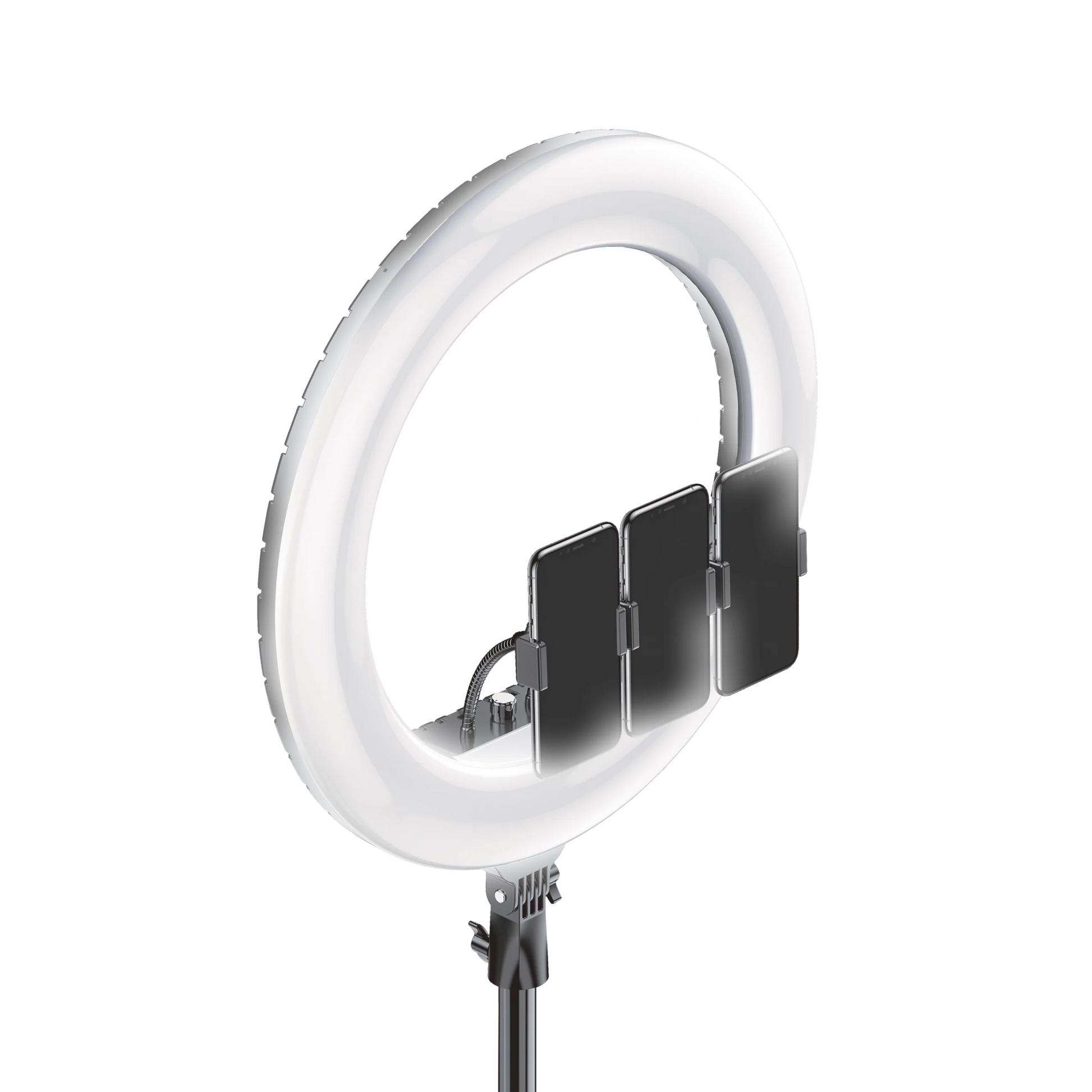 רינגלייט מקצועי 21 אינץ' MIRACASE MSSL21 55W