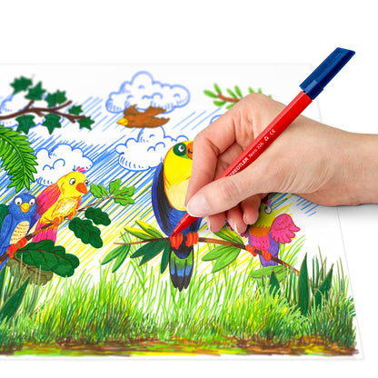טוש סימון שטדלר Staedtler 326
