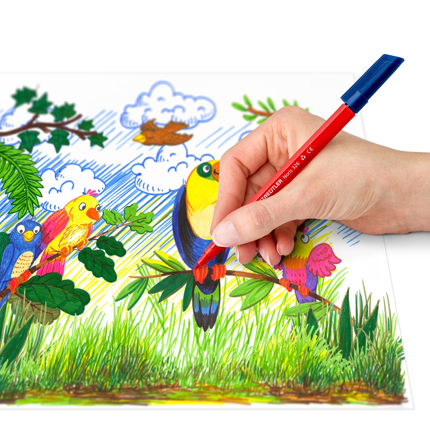 טוש סימון שטדלר Staedtler 326